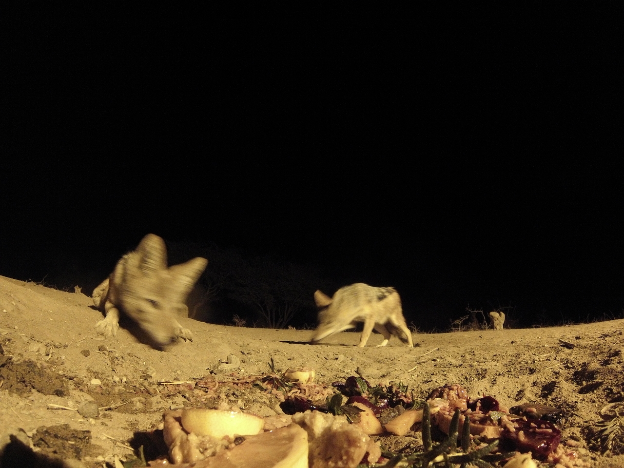 [4045] 2016_06_22_20_50_49_Africa_Hero3-Silver_Edition_IMG__00579.jpg