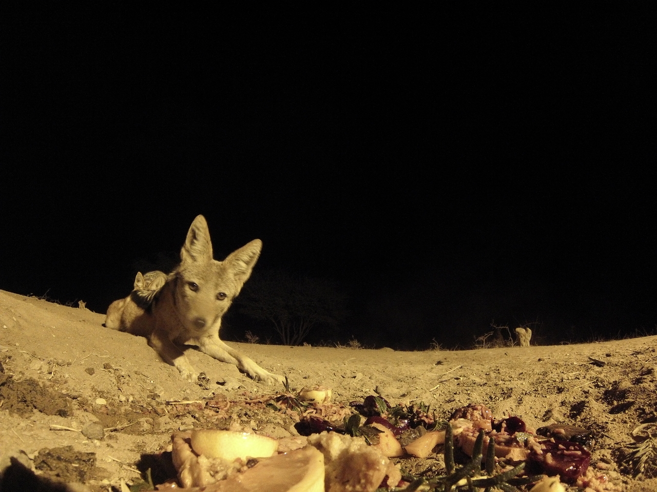 [4050] 2016_06_22_20_50_57_Africa_Hero3-Silver_Edition_IMG__00134.jpg