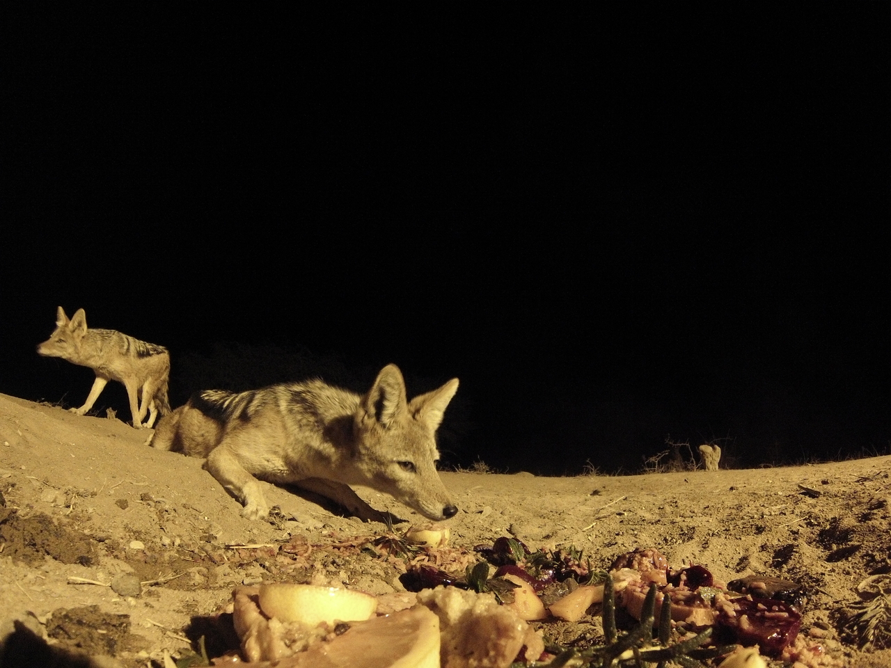 [4054] 2016_06_22_20_51_03_Africa_Hero3-Silver_Edition_IMG__00136.jpg