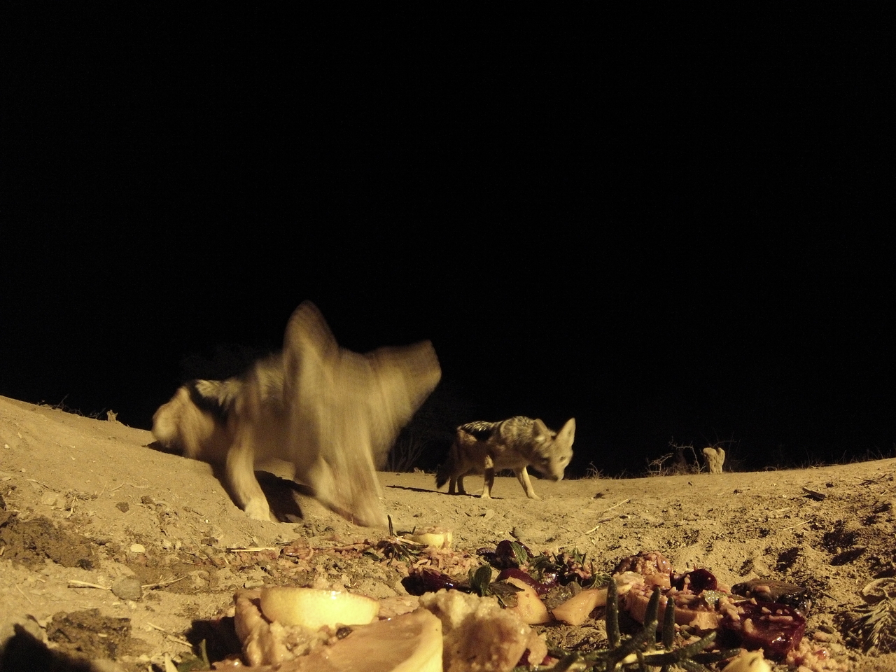 [4060] 2016_06_22_20_51_11_Africa_Hero3-Silver_Edition_IMG__00139.jpg