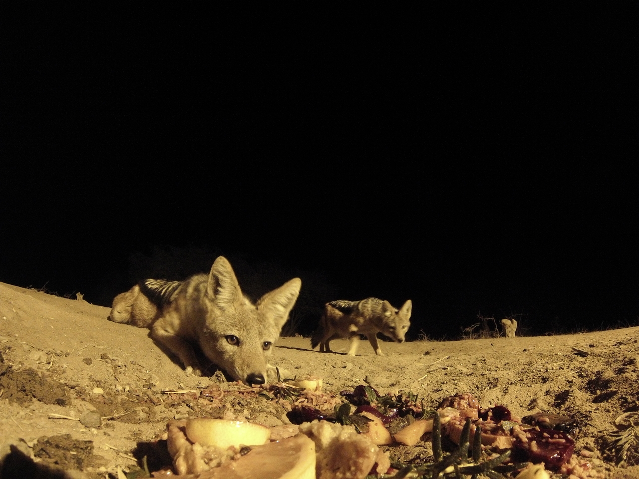 [4063] 2016_06_22_20_51_13_Africa_Hero3-Silver_Edition_IMG_7754_02682.jpg