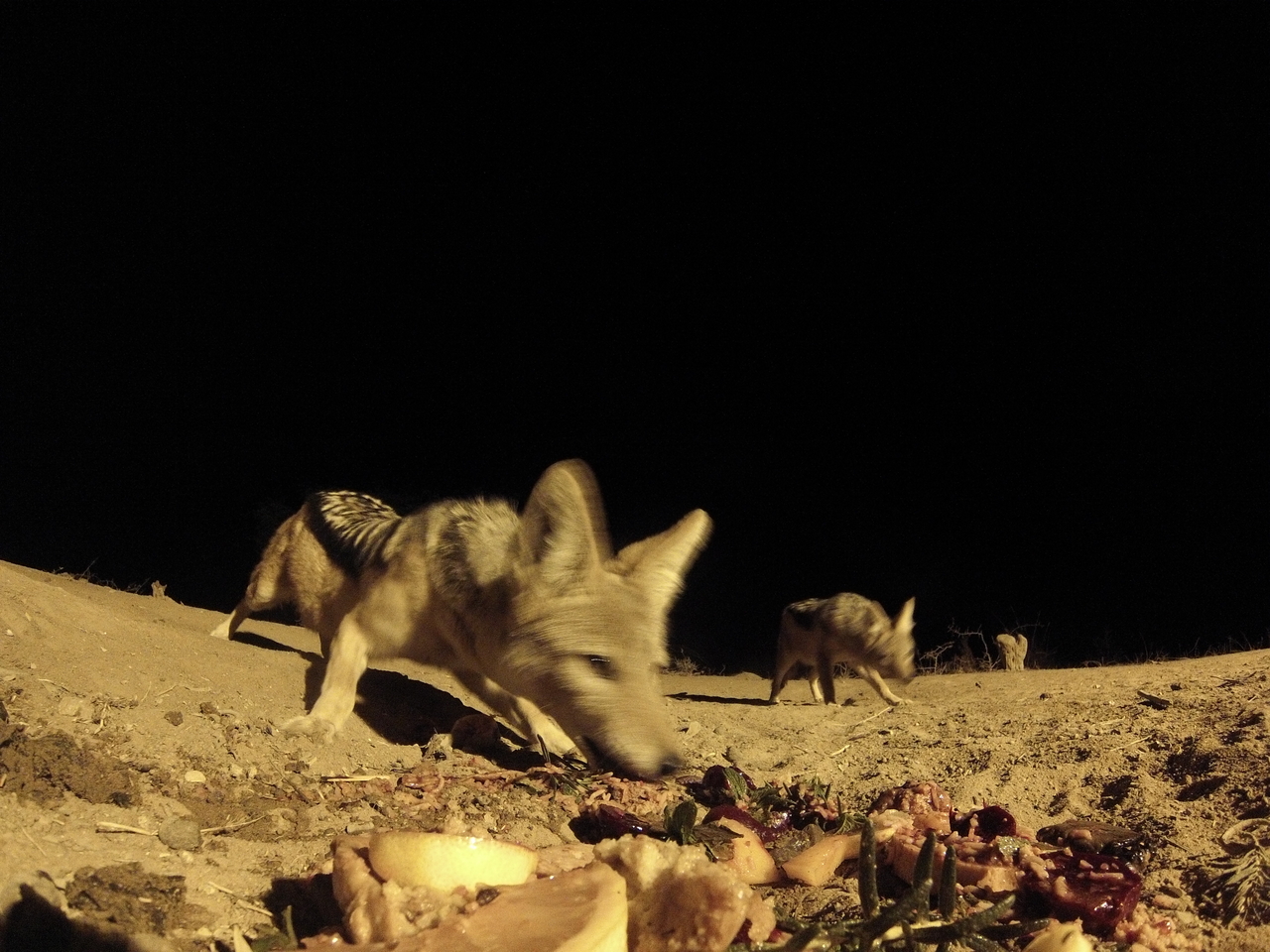 [4071] 2016_06_22_20_51_23_Africa_Hero3-Silver_Edition_IMG__00591.jpg