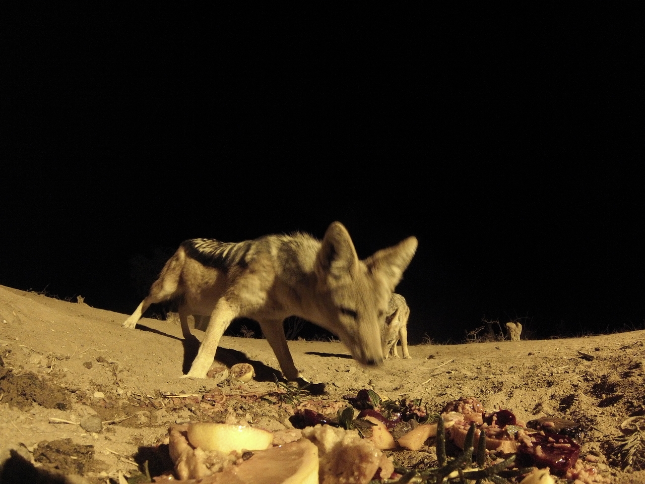 [4081] 2016_06_22_20_51_37_Africa_Hero3-Silver_Edition_IMG__00596.jpg