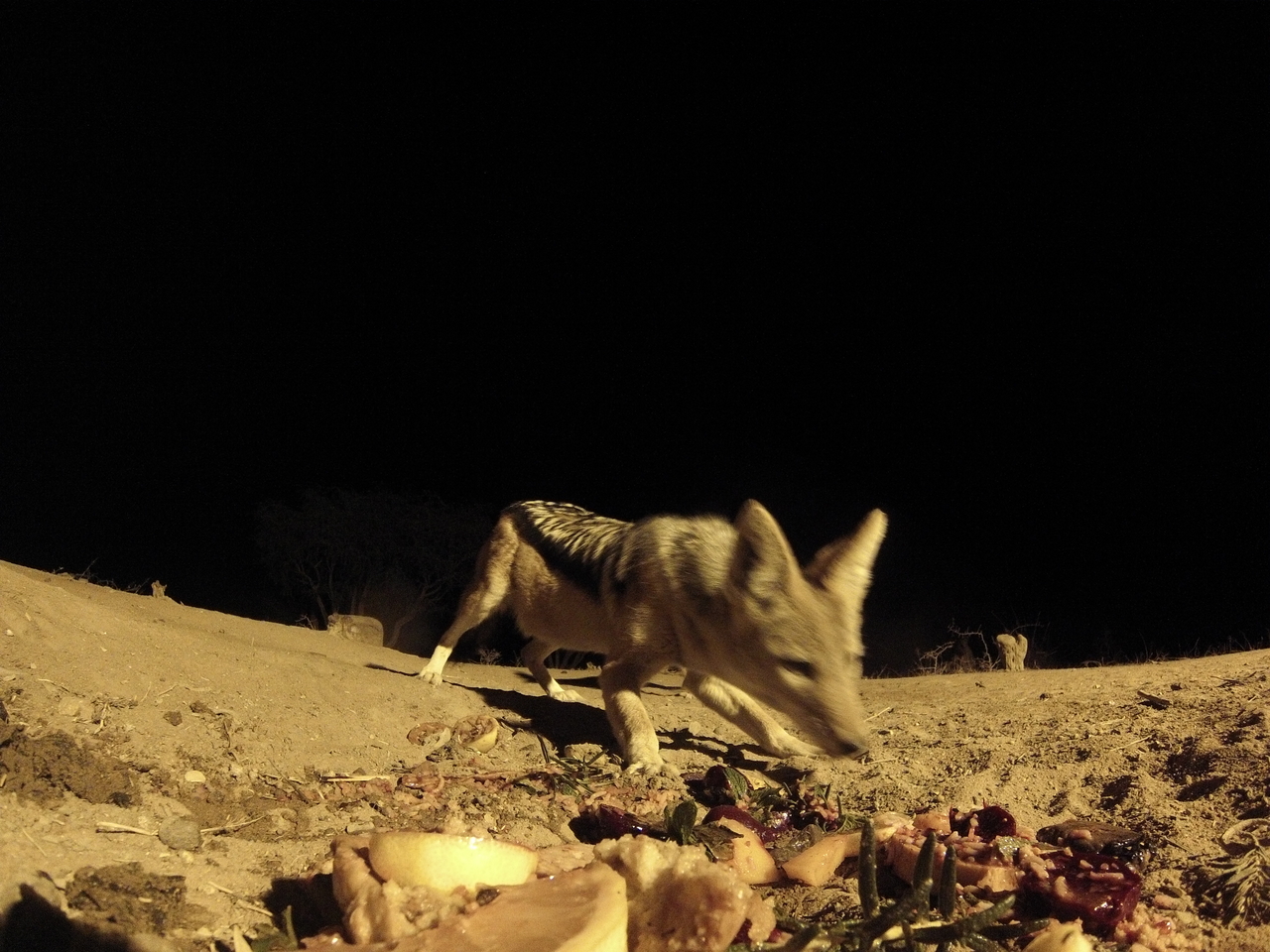 [4085] 2016_06_22_20_51_43_Africa_Hero3-Silver_Edition_IMG__00598.jpg