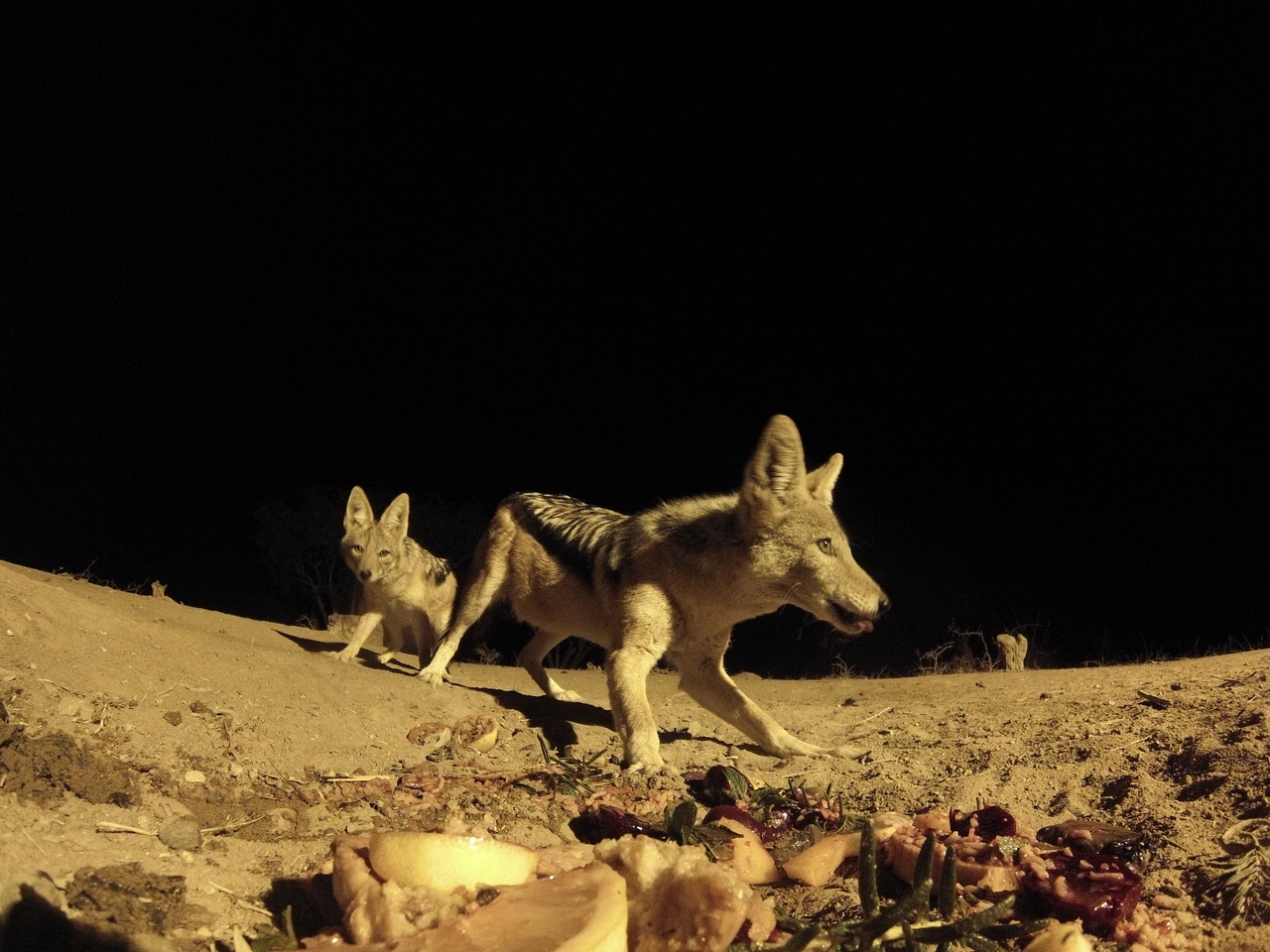 [4089] 2016_06_22_20_51_49_Africa_Hero3-Silver_Edition_IMG__00600.jpg