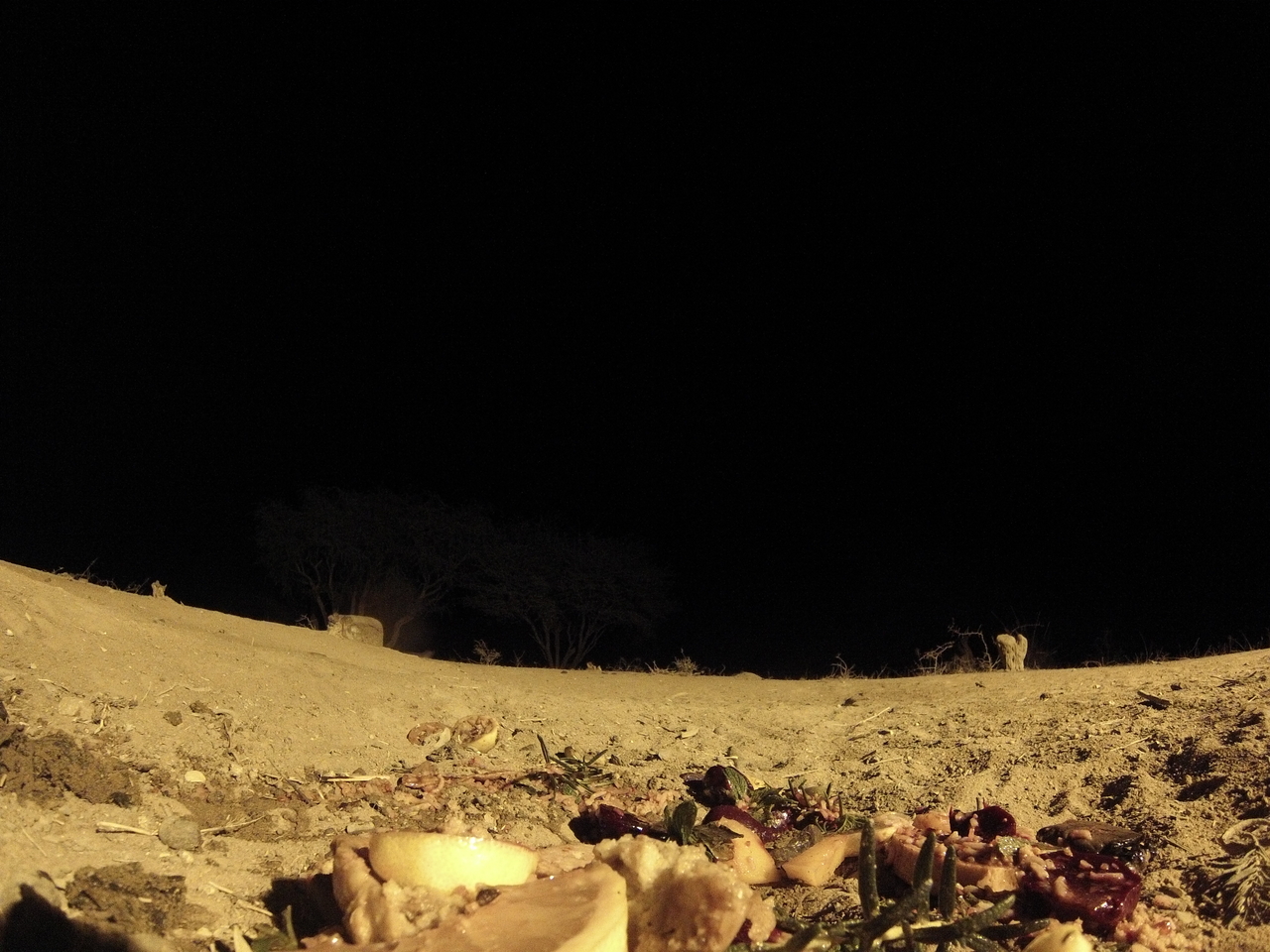 [4098] 2016_06_22_20_52_03_Africa_Hero3-Silver_Edition_IMG__00157.jpg