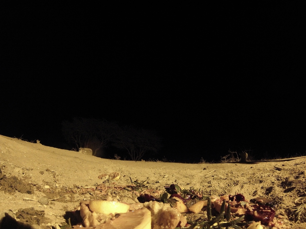 [4103] 2016_06_22_20_52_09_Africa_Hero3-Silver_Edition_IMG__00607.jpg