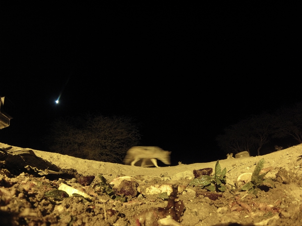 [4290] 2016_06_22_21_26_04_Africa_Hero3-Silver_Edition_IMG__00250.jpg