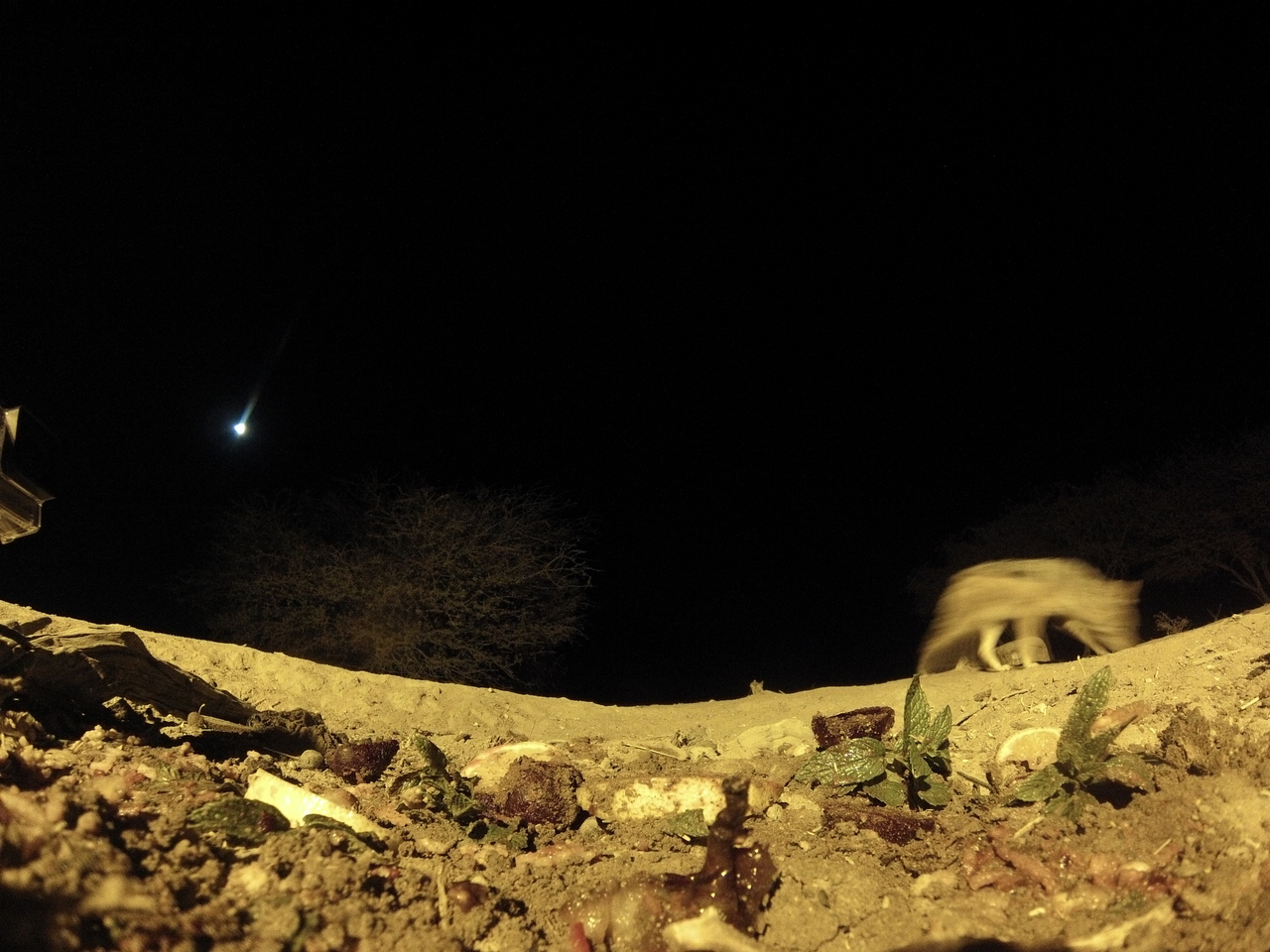 [4293] 2016_06_22_21_26_06_Africa_Hero3-Silver_Edition_IMG__00699.jpg