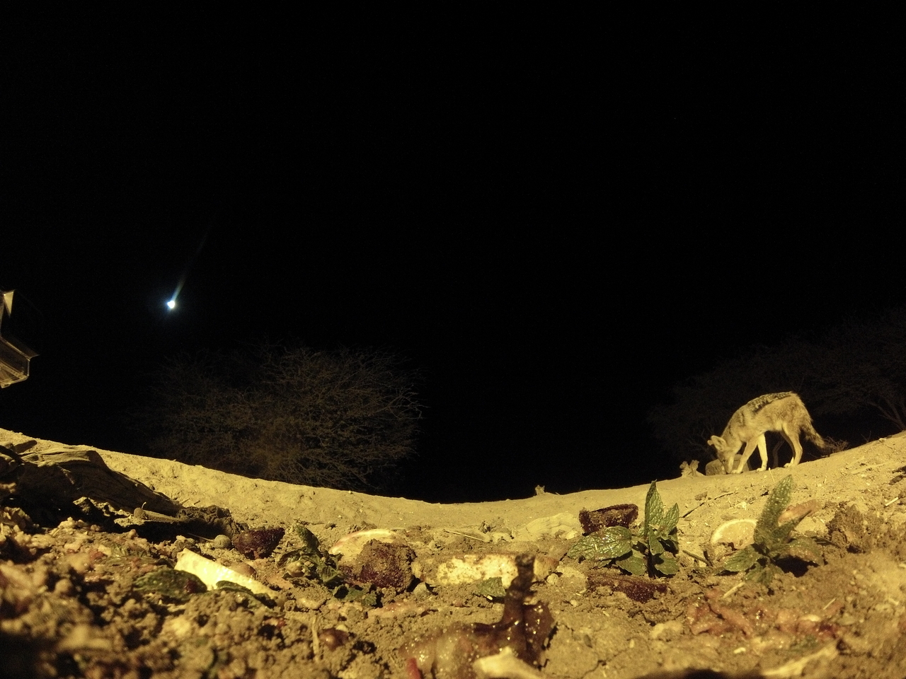 [4318] 2016_06_22_21_26_48_Africa_Hero3-Silver_Edition_IMG__00264.jpg