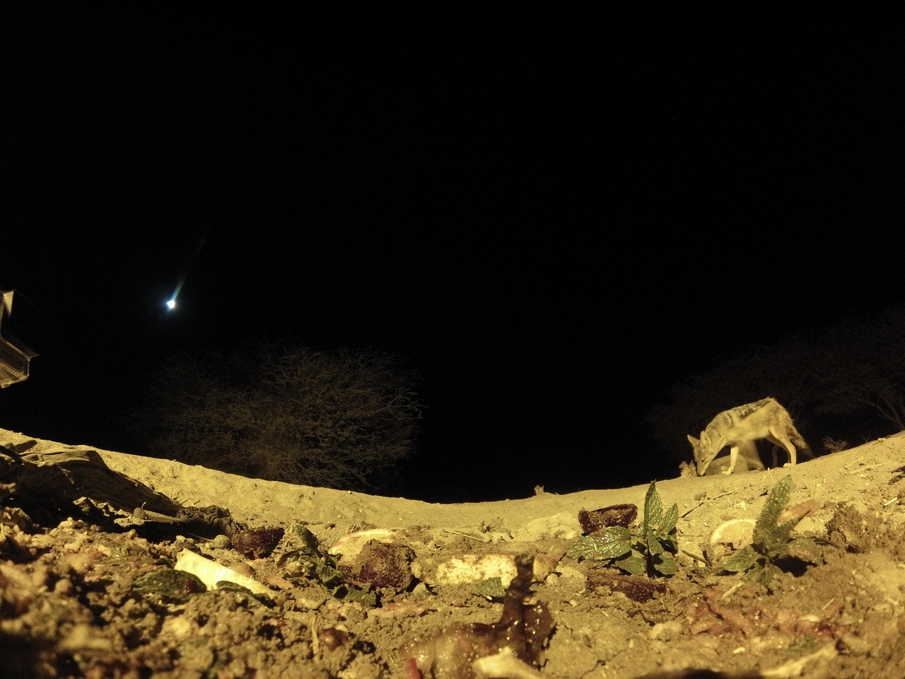 [4322] 2016_06_22_21_26_56_Africa_Hero3-Silver_Edition_IMG__00266.jpg