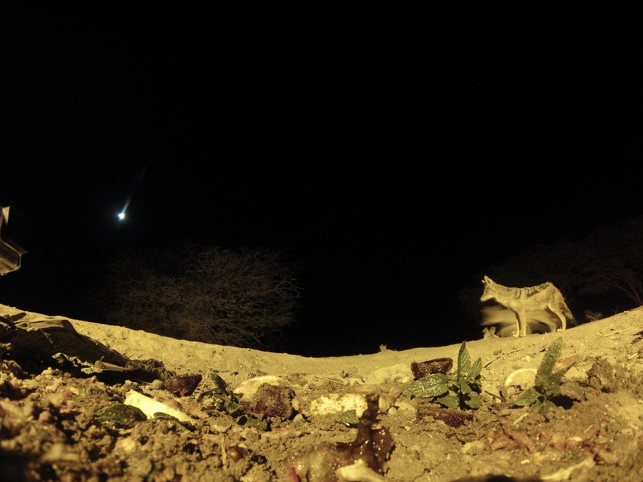 [4325] 2016_06_22_21_27_00_Africa_Hero3-Silver_Edition_IMG__00715.jpg