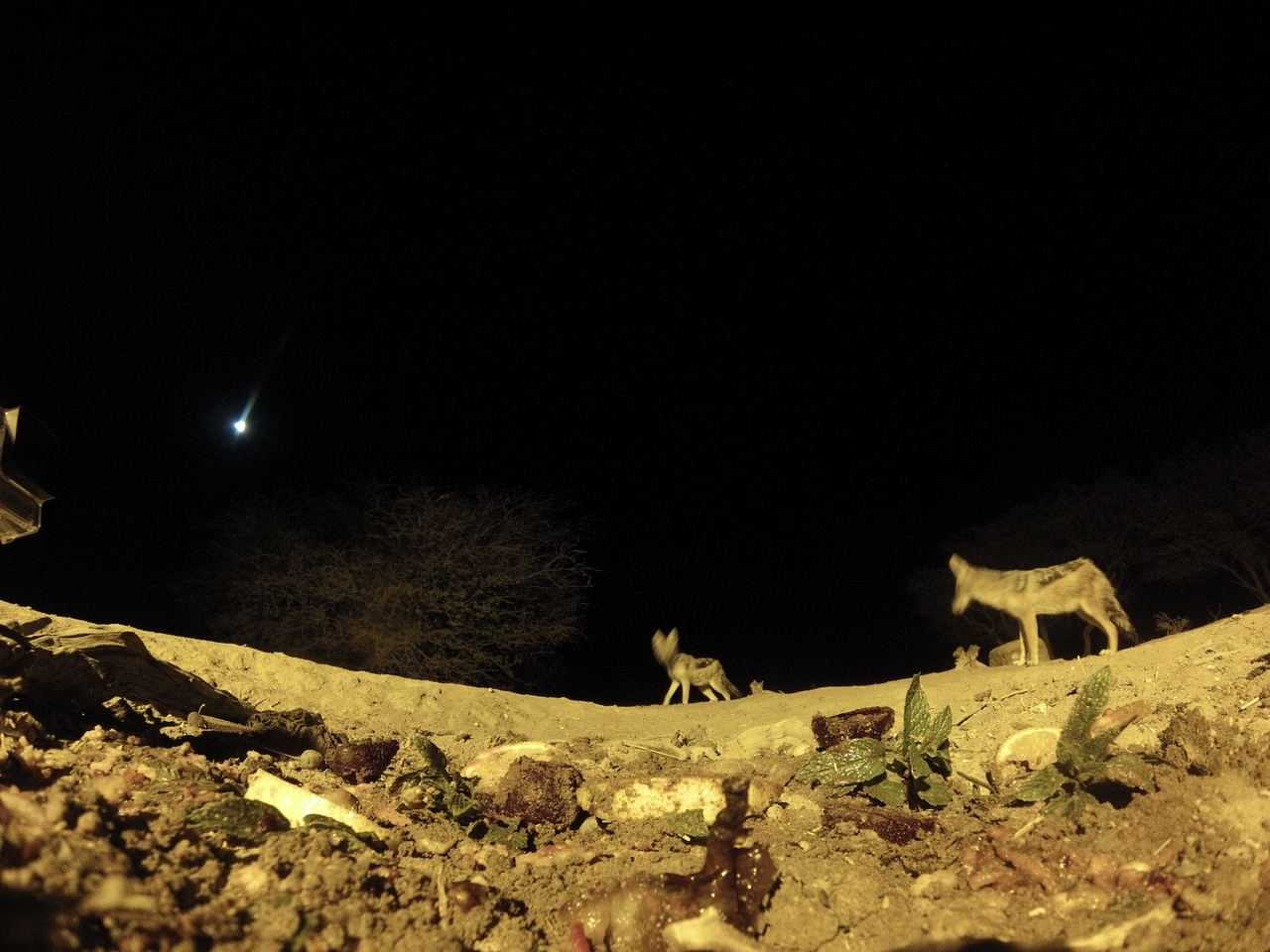 [4327] 2016_06_22_21_27_02_Africa_Hero3-Silver_Edition_IMG__00716.jpg