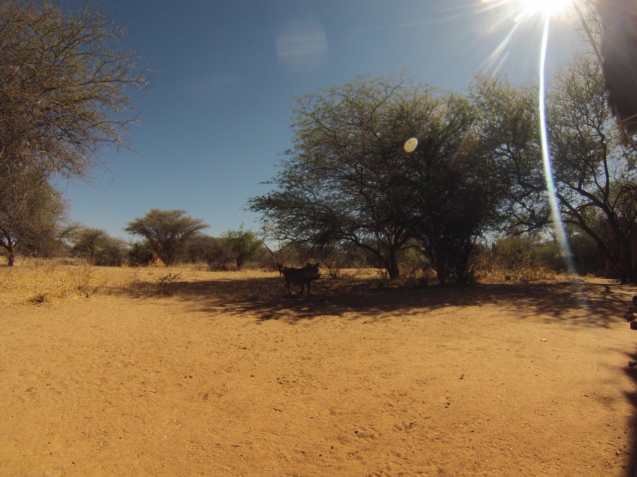 [8809] 2016_06_23_12_07_29_Africa_Hero3-Silver_Edition_IMG__00786.jpg