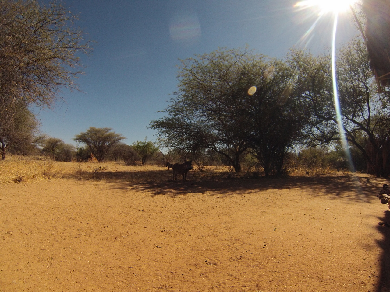 [8812] 2016_06_23_12_07_33_Africa_Hero3-Silver_Edition_IMG__00340.jpg