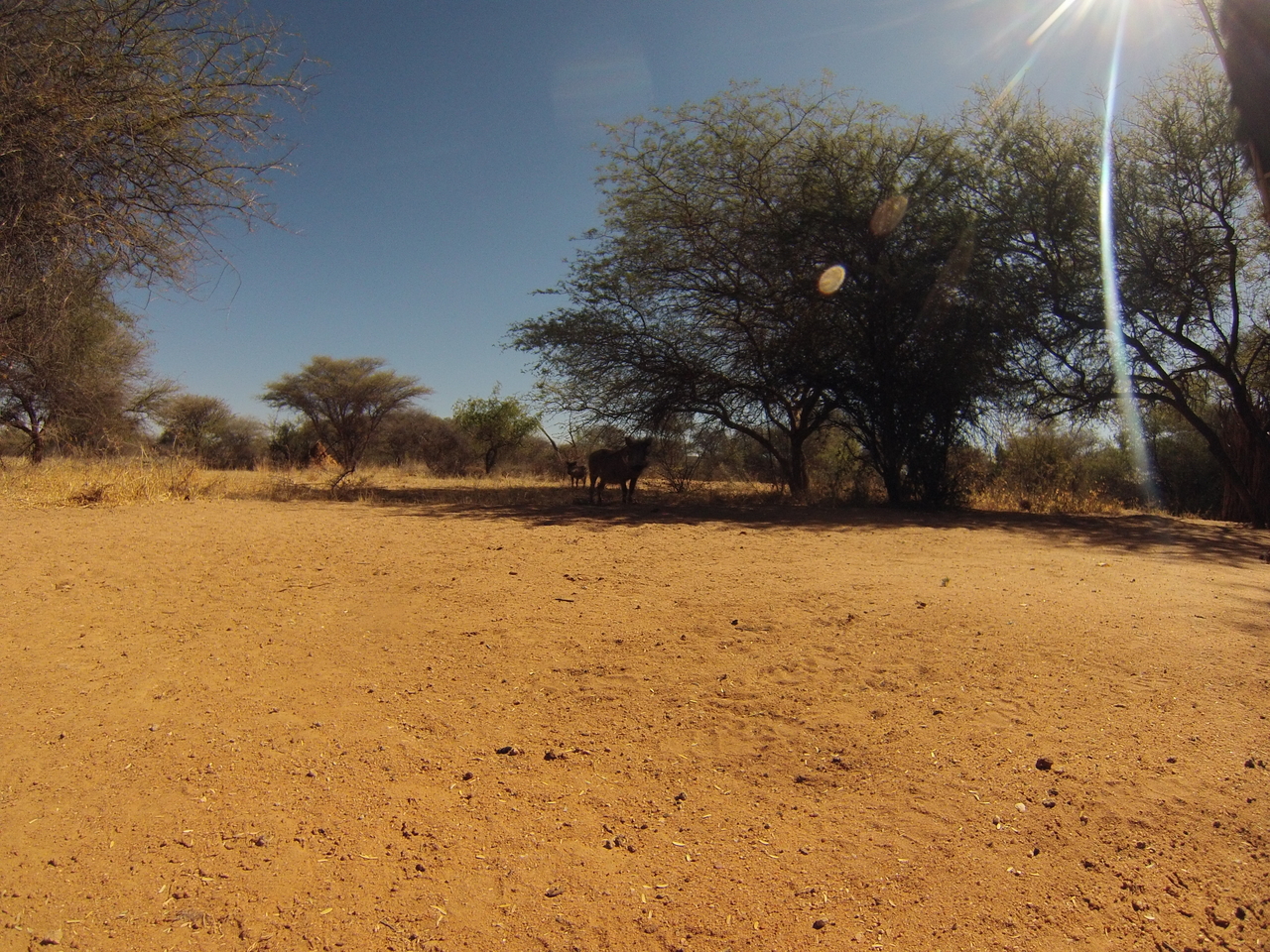 [8814] 2016_06_23_12_07_37_Africa_Hero3-Silver_Edition_IMG__00341.jpg