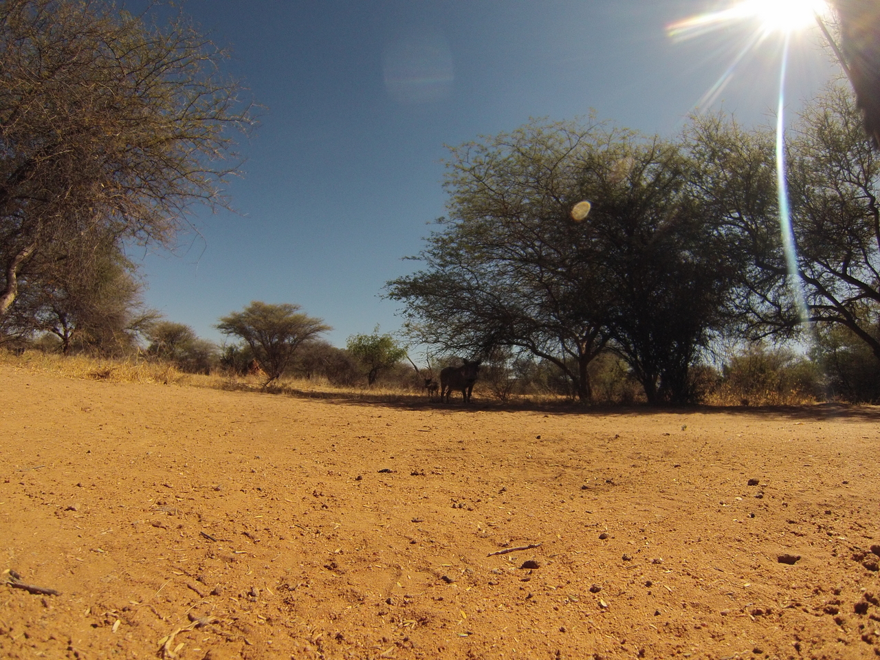 [8816] 2016_06_23_12_07_41_Africa_Hero3-Silver_Edition_IMG__00342.jpg