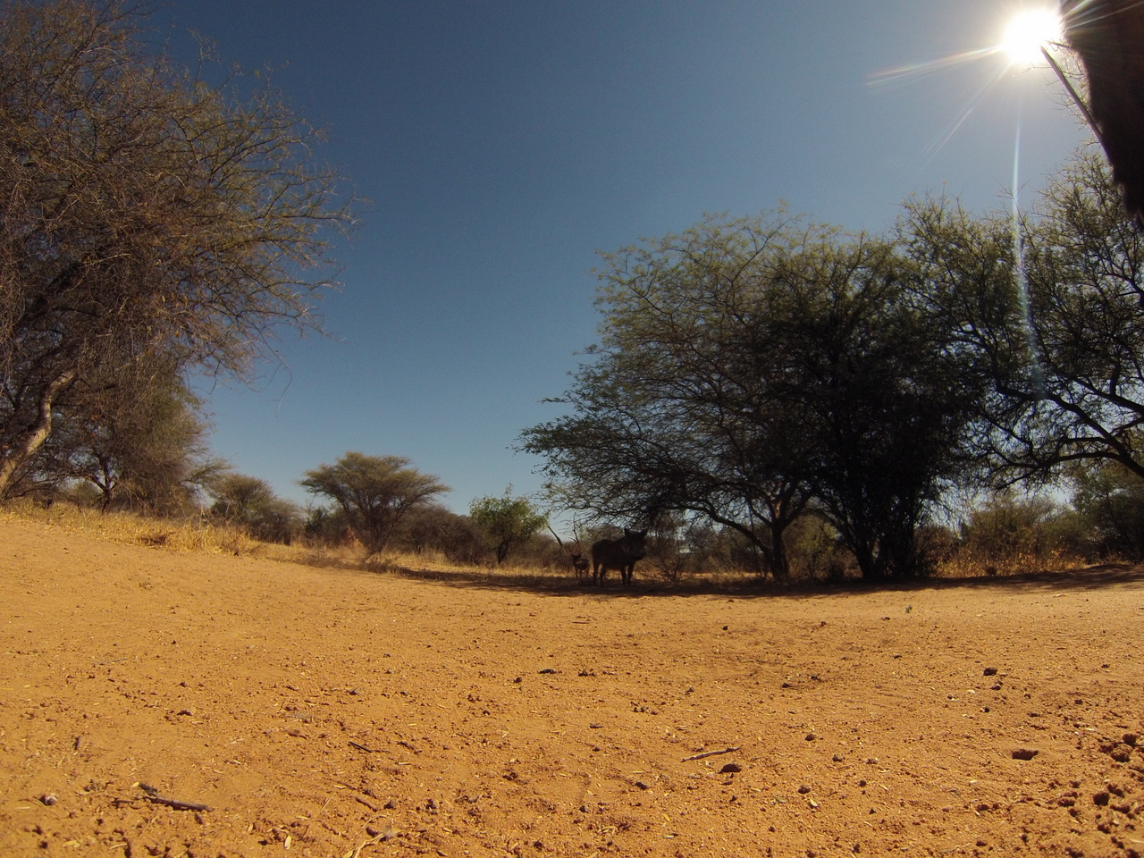 [8827] 2016_06_23_12_07_51_Africa_Hero3-Silver_Edition_IMG__00795.jpg