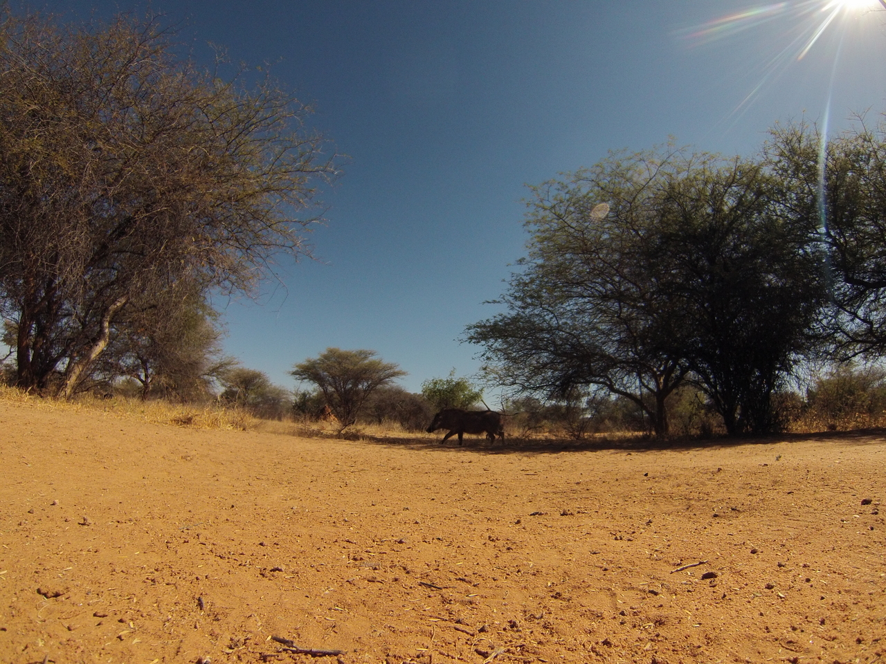 [8829] 2016_06_23_12_07_55_Africa_Hero3-Silver_Edition_IMG__00796.jpg