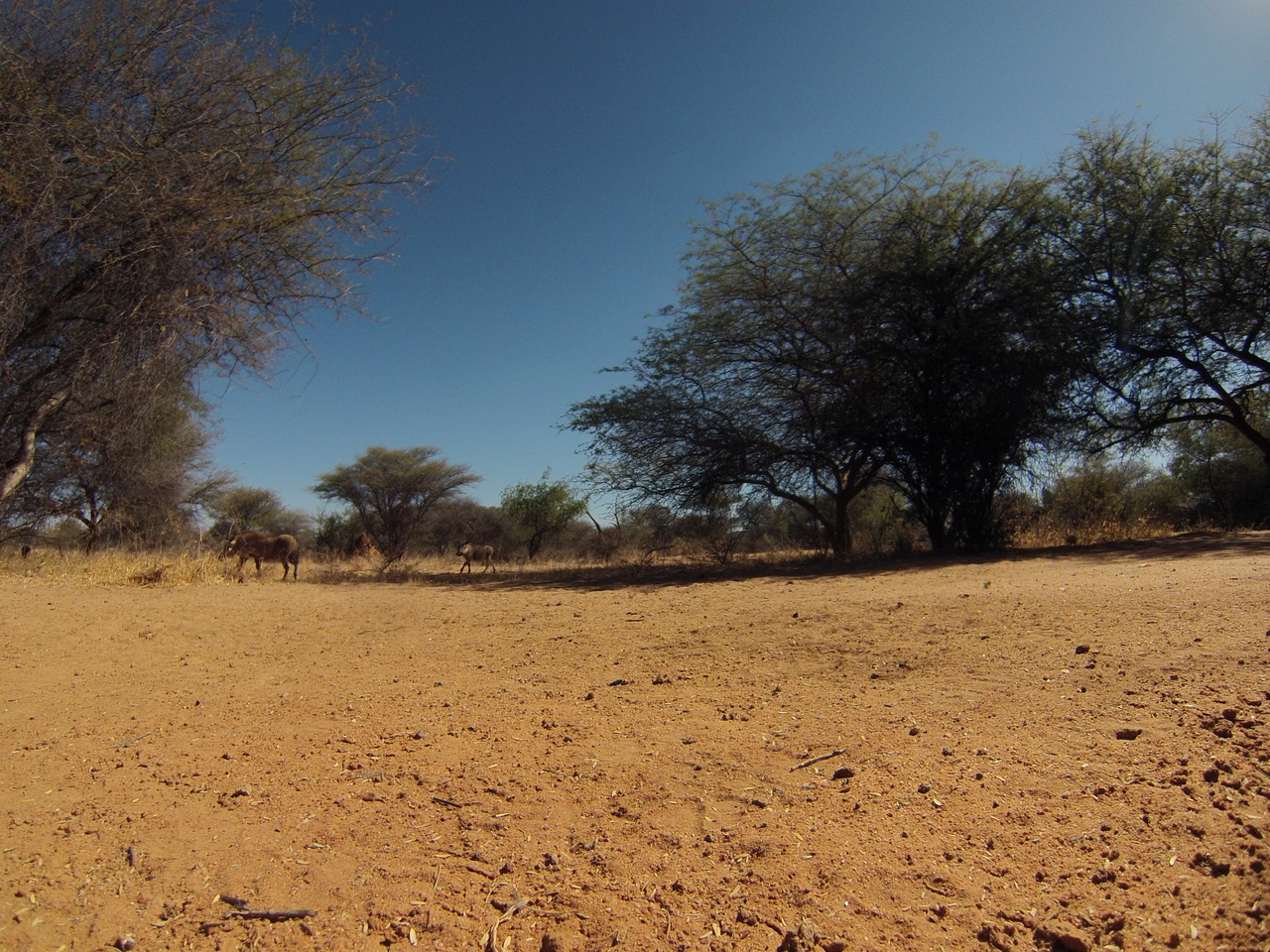 [8835] 2016_06_23_12_07_59_Africa_Hero3-Silver_Edition_IMG__00798.jpg