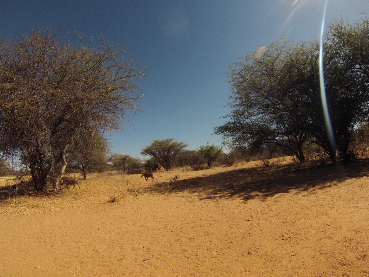 [8837] 2016_06_23_12_08_03_Africa_Hero3-Silver_Edition_IMG__00799.jpg