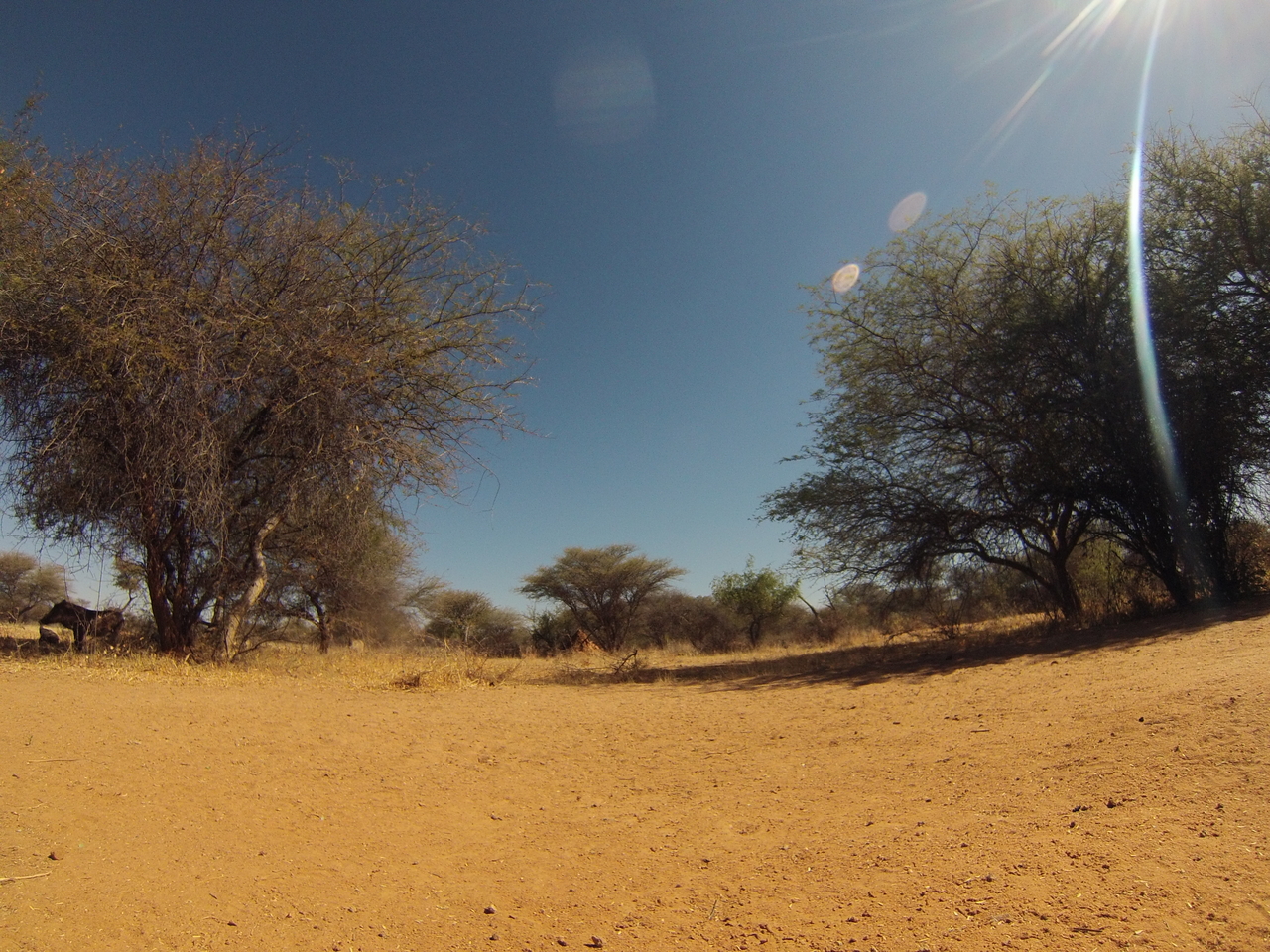 [8849] 2016_06_23_12_08_19_Africa_Hero3-Silver_Edition_IMG__00805.jpg