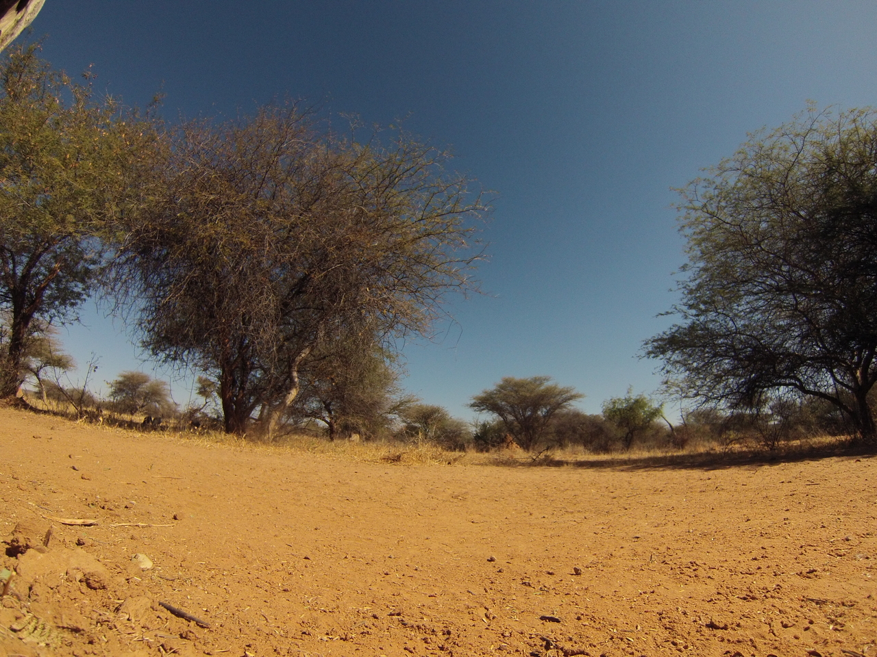 [8854] 2016_06_23_12_08_27_Africa_Hero3-Silver_Edition_IMG__00360.jpg