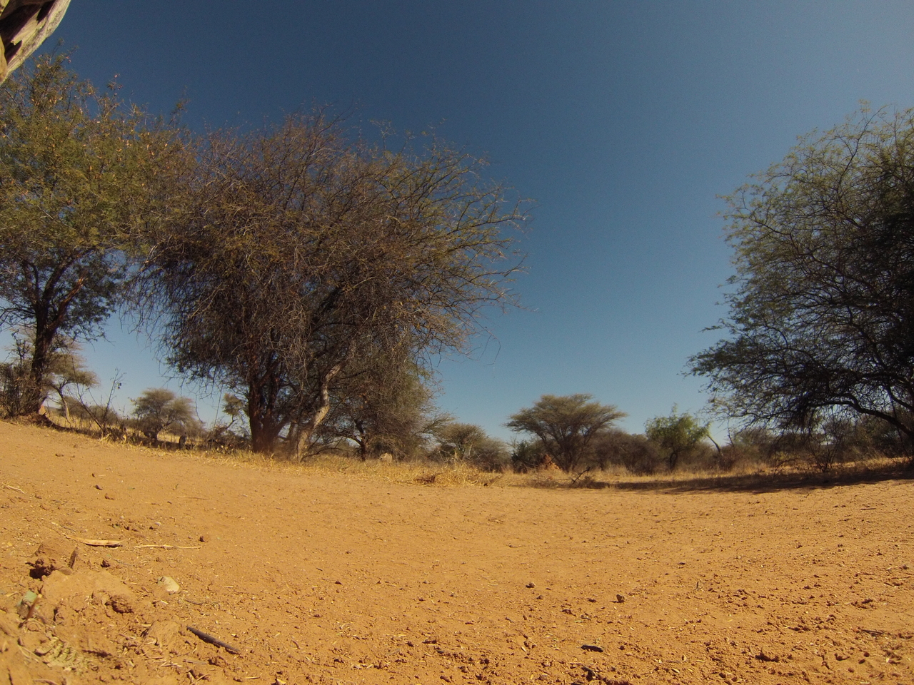 [8862] 2016_06_23_12_08_39_Africa_Hero3-Silver_Edition_IMG__00364.jpg