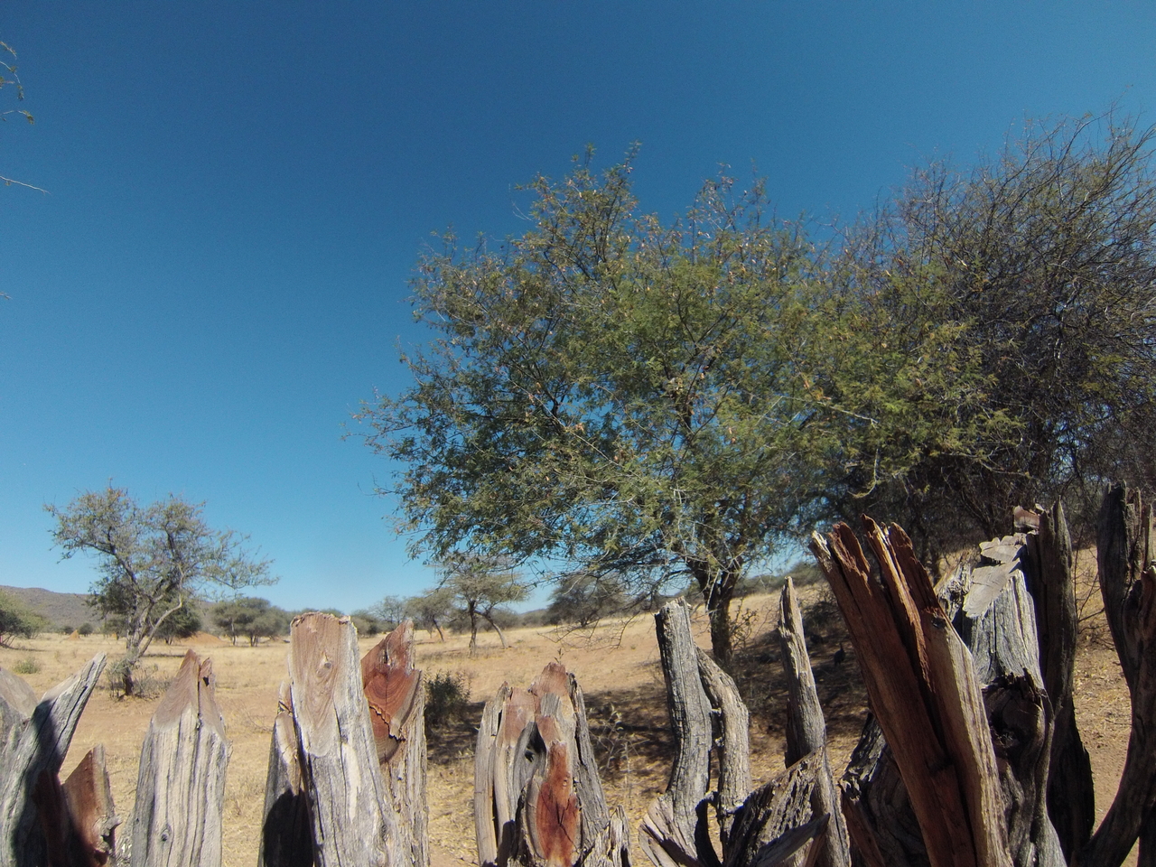 [8873] 2016_06_23_12_08_59_Africa_Hero3-Silver_Edition_IMG__00817.jpg