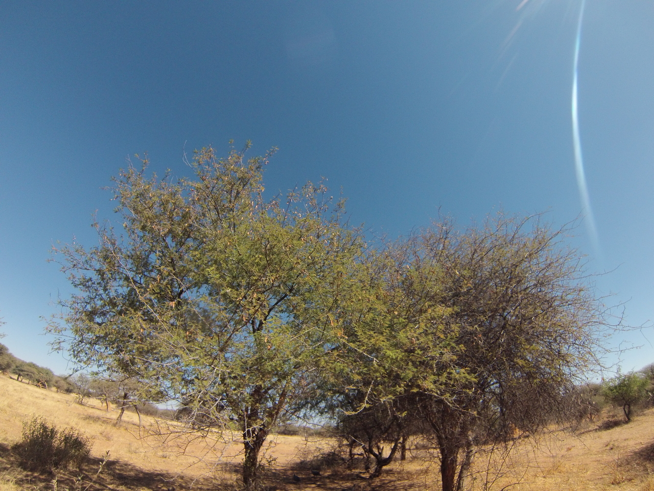 [8875] 2016_06_23_12_09_02_Africa_Hero3-Silver_Edition_IMG__00818.jpg