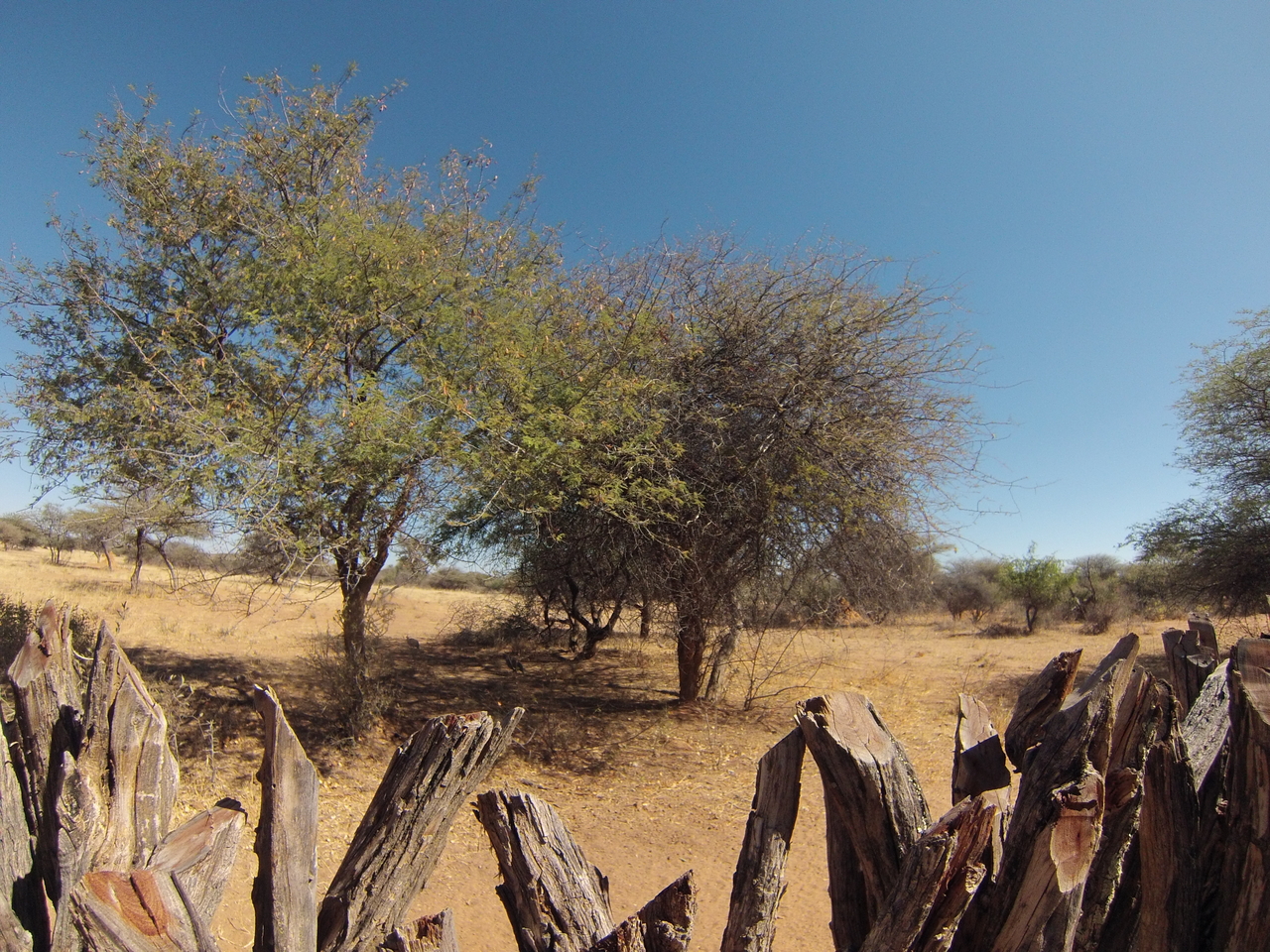 [8878] 2016_06_23_12_09_08_Africa_Hero3-Silver_Edition_IMG__00372.jpg