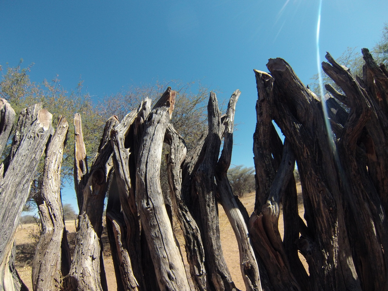 [8891] 2016_06_23_12_09_28_Africa_Hero3-Silver_Edition_IMG__00826.jpg