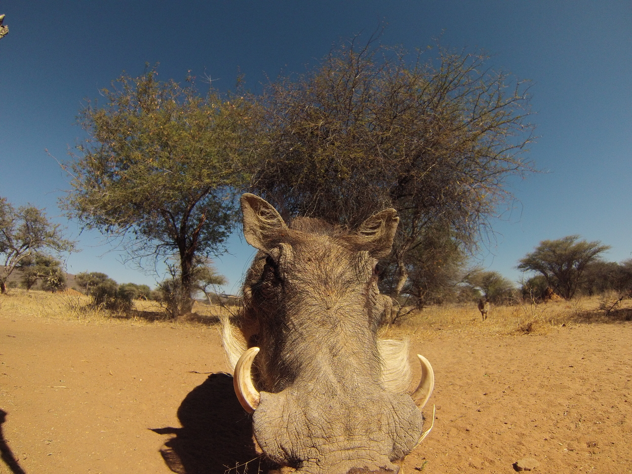 [8907] 2016_06_23_12_09_50_Africa_Hero3-Silver_Edition_IMG_7806_02733.jpg