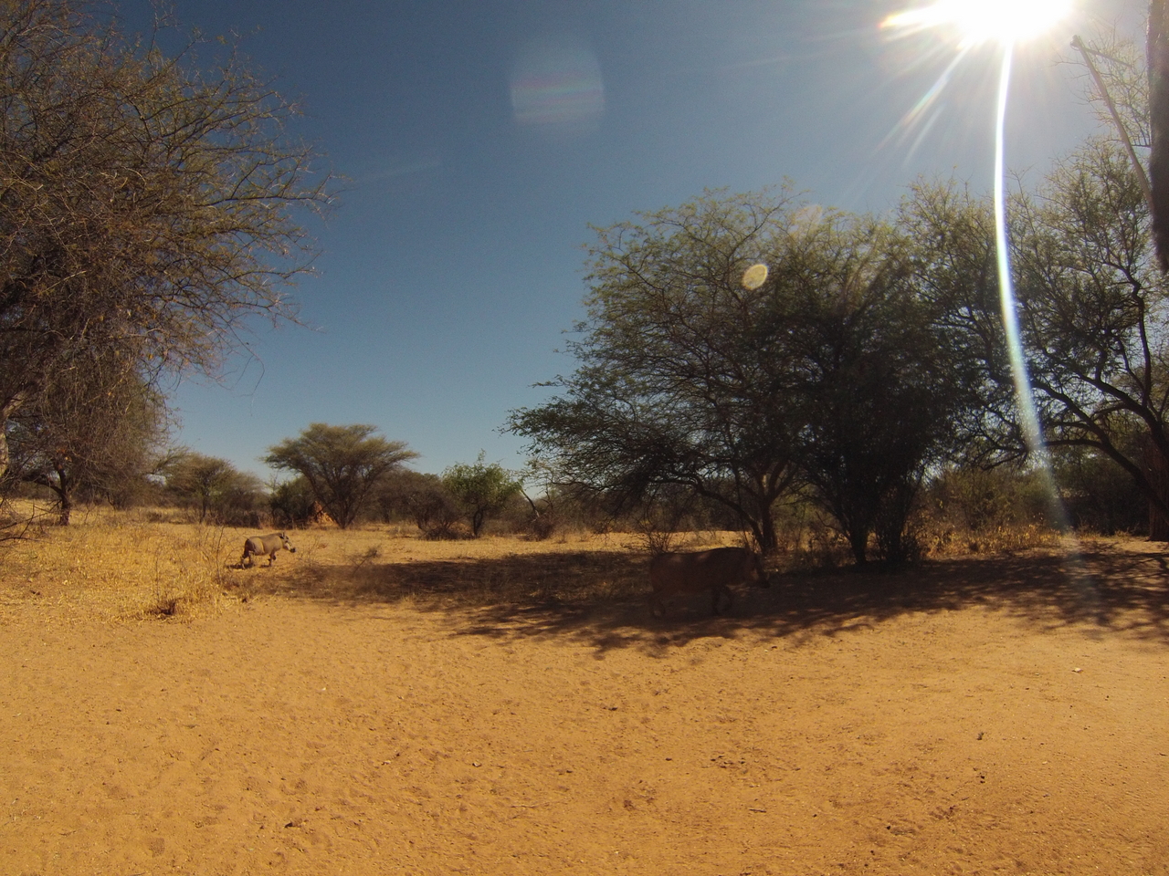 [8911] 2016_06_23_12_09_54_Africa_Hero3-Silver_Edition_IMG__00835.jpg