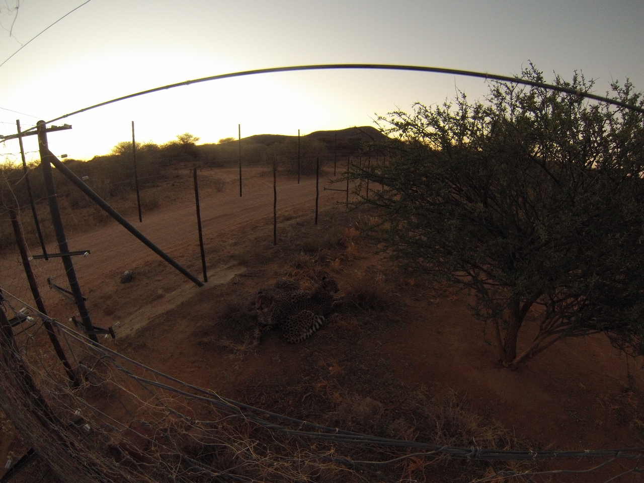 [9526] 2016_06_23_17_26_28_Africa_Hero3-Silver_Edition_IMG__00851.jpg