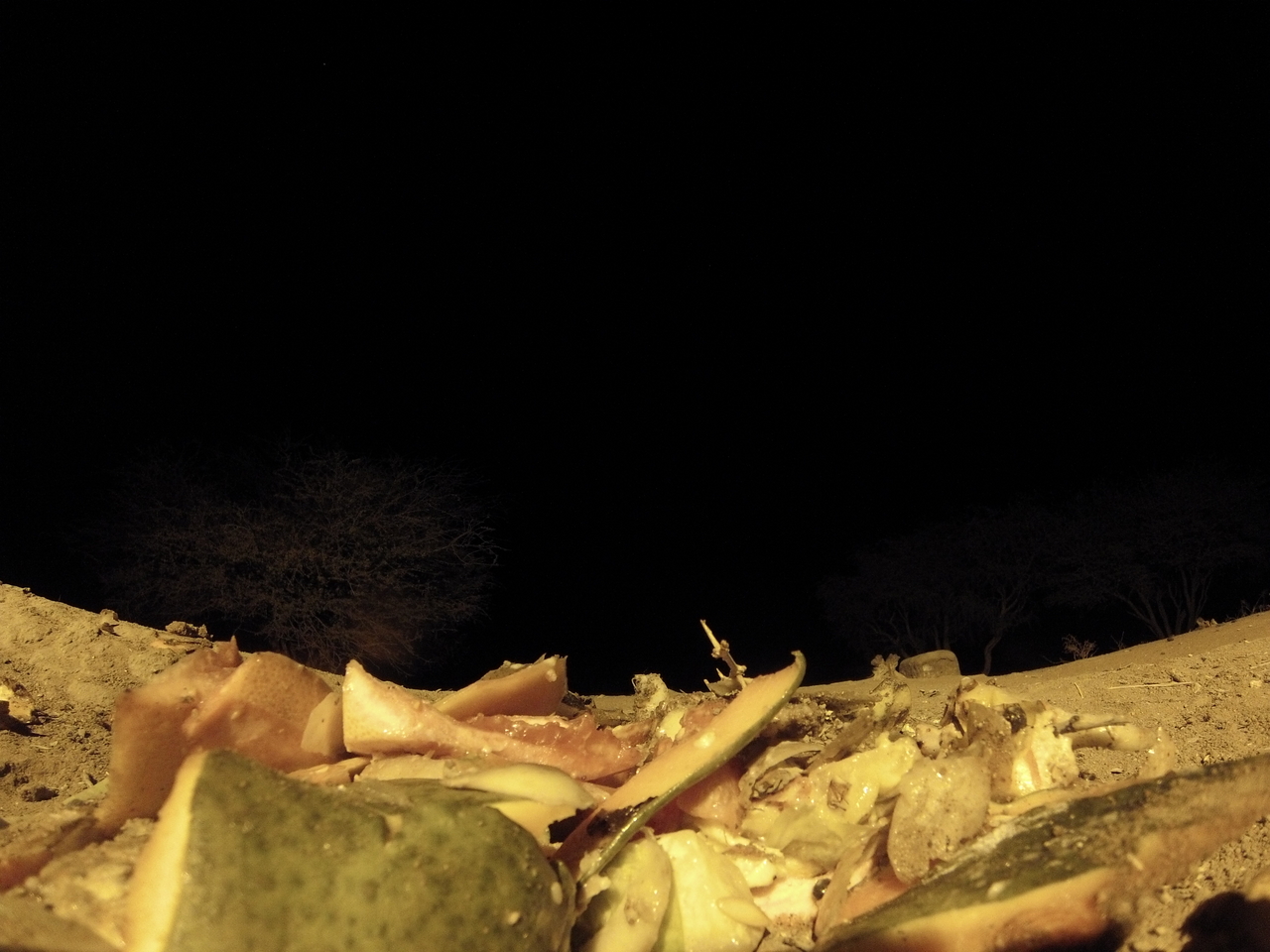 [9664] 2016_06_23_18_42_16_Africa_Hero3-Silver_Edition_IMG__00424.jpg