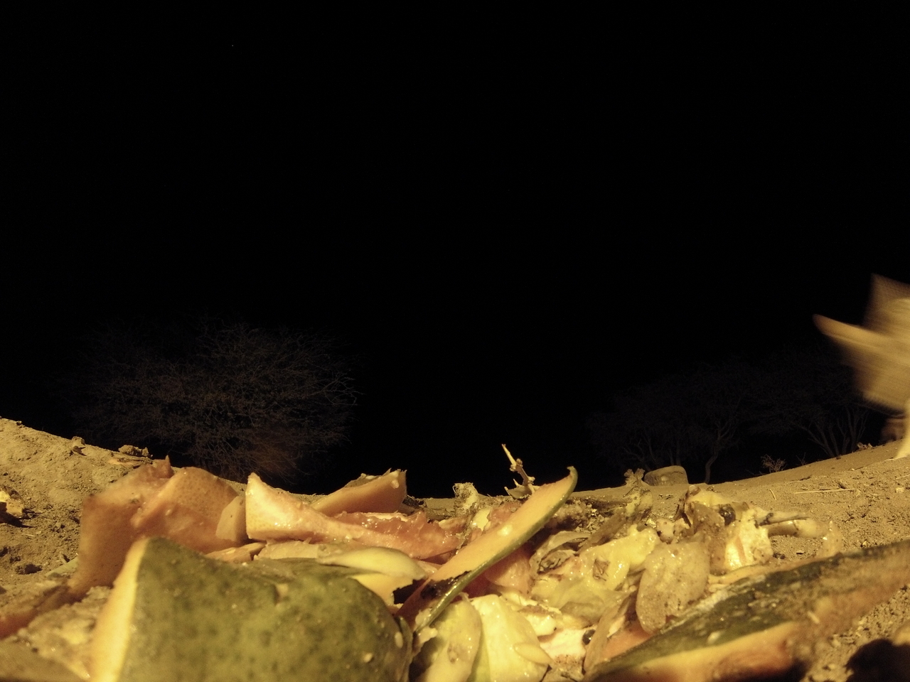 [9673] 2016_06_23_18_42_26_Africa_Hero3-Silver_Edition_IMG__00876.jpg