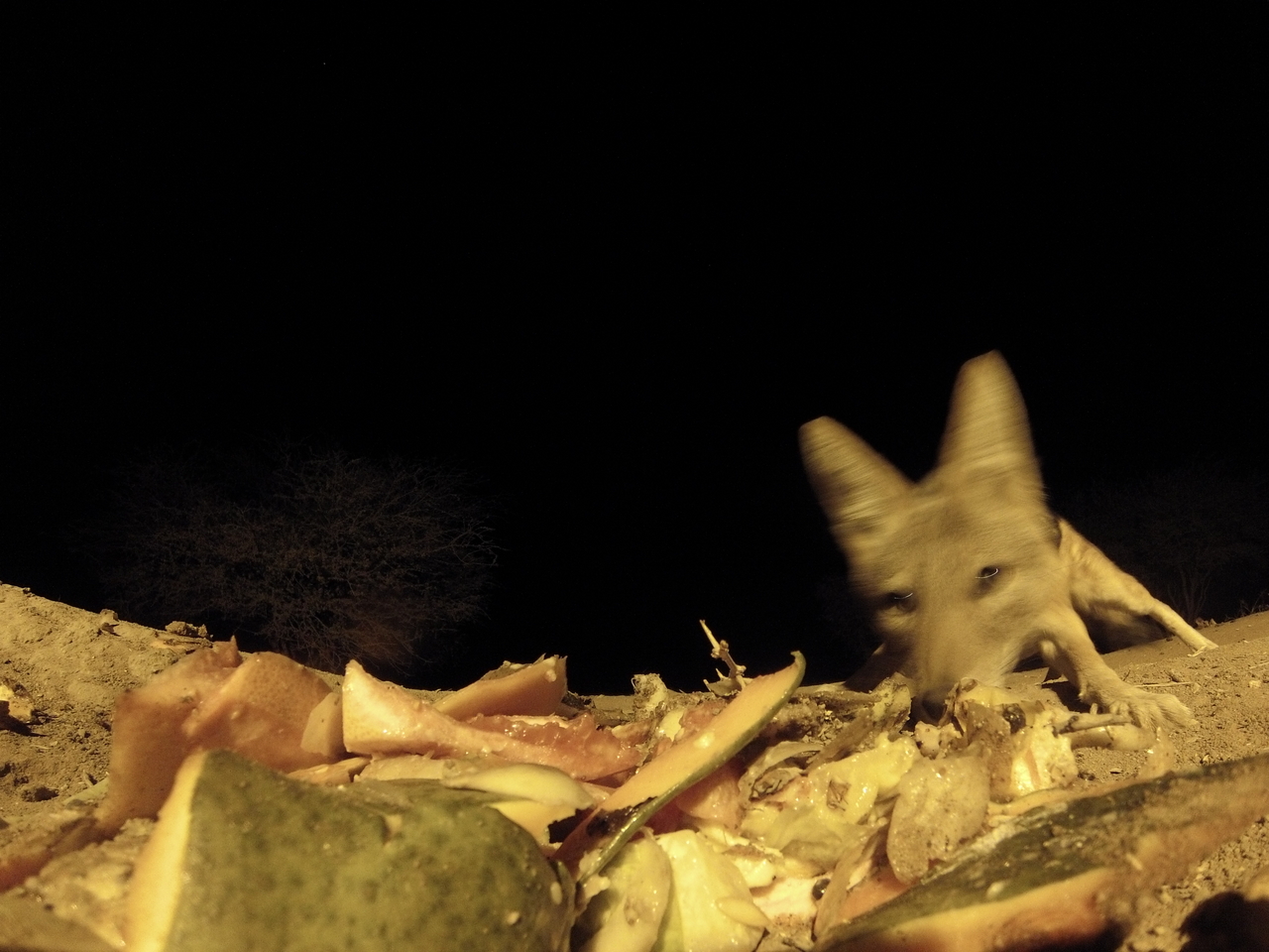 [9675] 2016_06_23_18_42_28_Africa_Hero3-Silver_Edition_IMG__00877.jpg