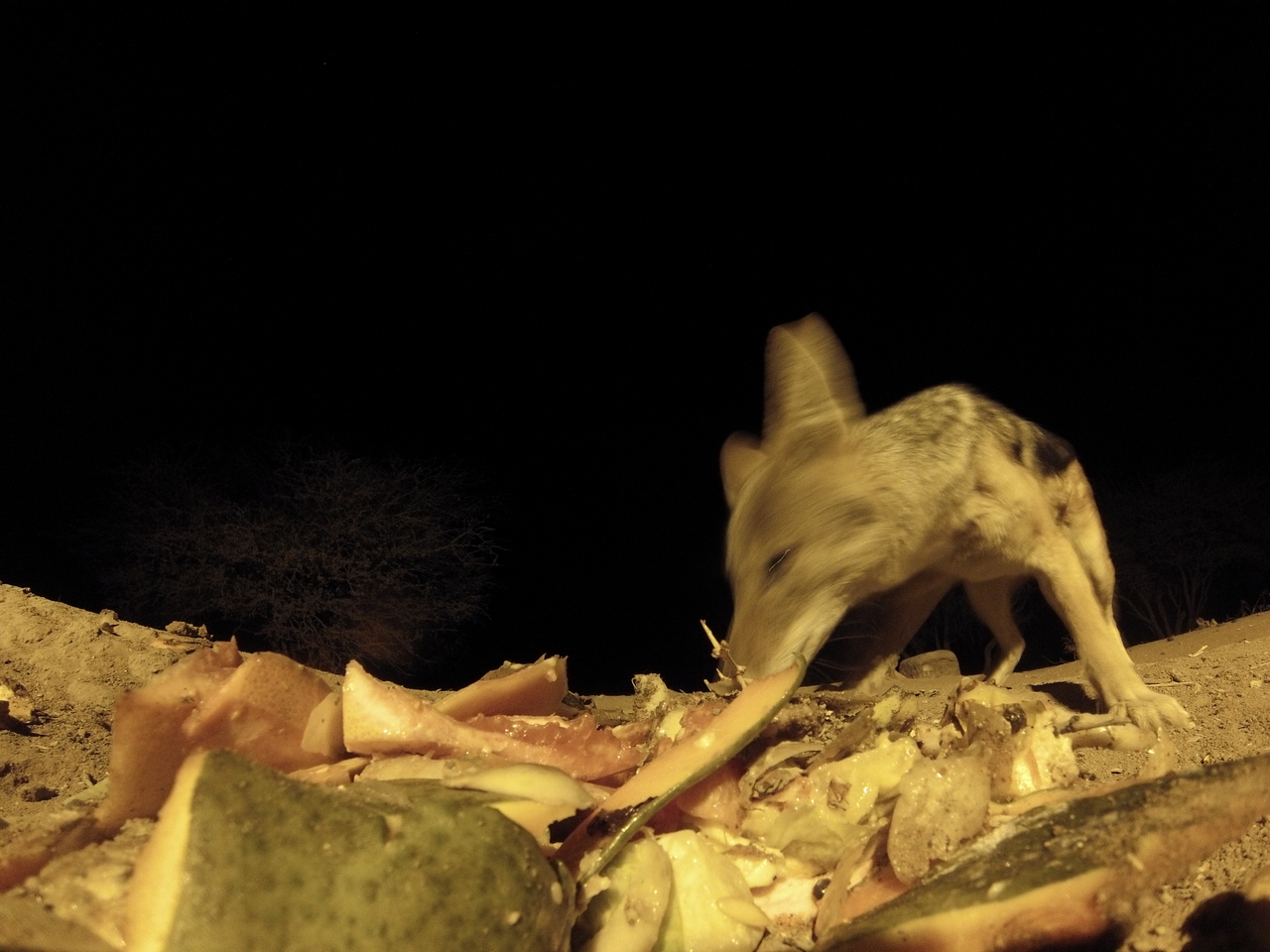 [9677] 2016_06_23_18_42_30_Africa_Hero3-Silver_Edition_IMG__00878.jpg