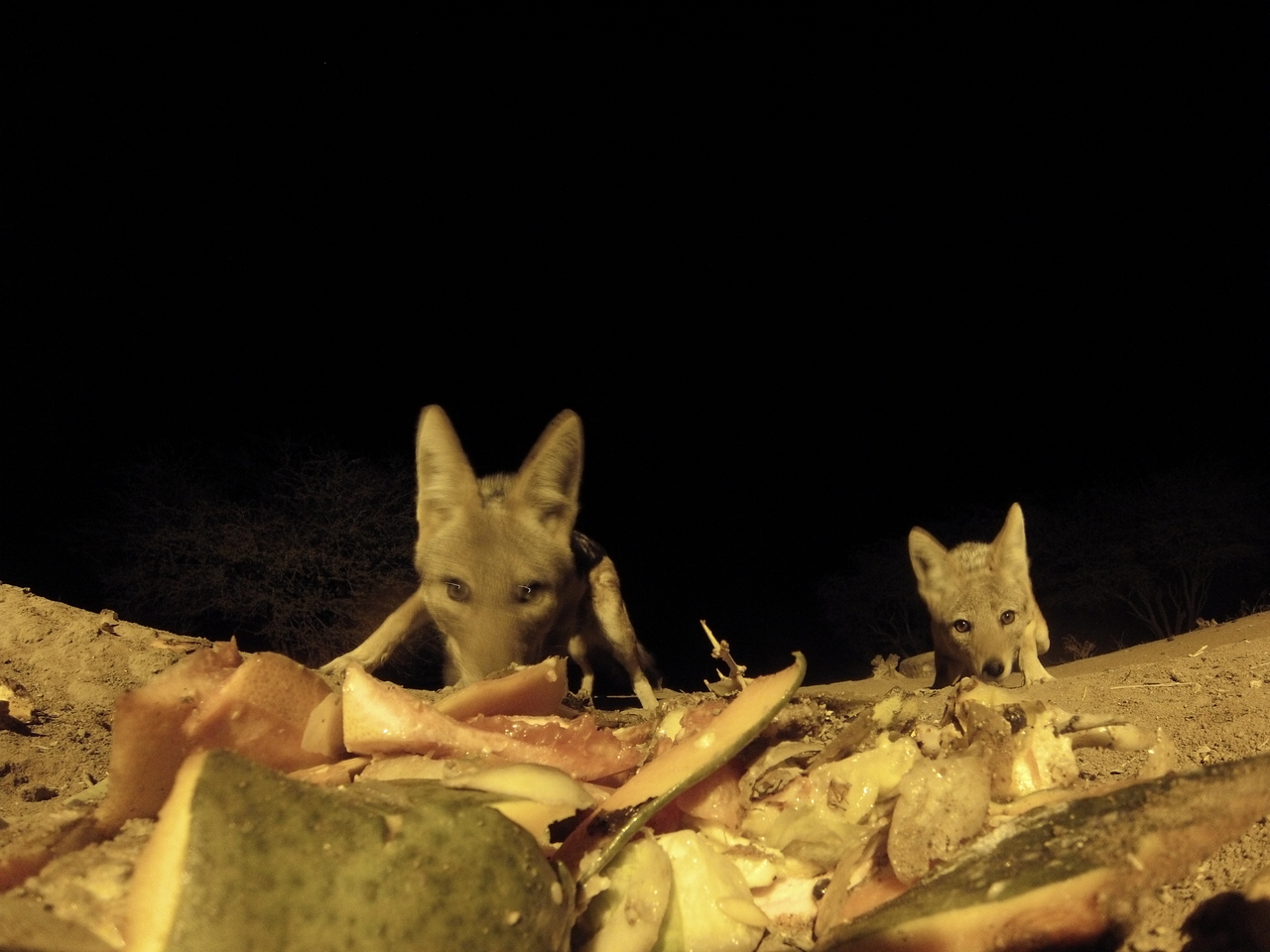 [9687] 2016_06_23_18_42_42_Africa_Hero3-Silver_Edition_IMG__00883.jpg