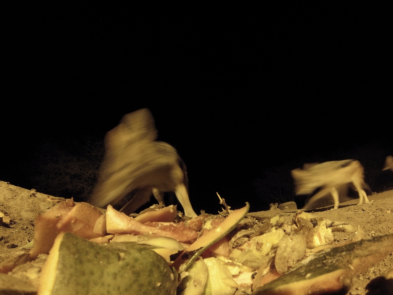 [9702] 2016_06_23_18_43_04_Africa_Hero3-Silver_Edition_IMG__00443.jpg