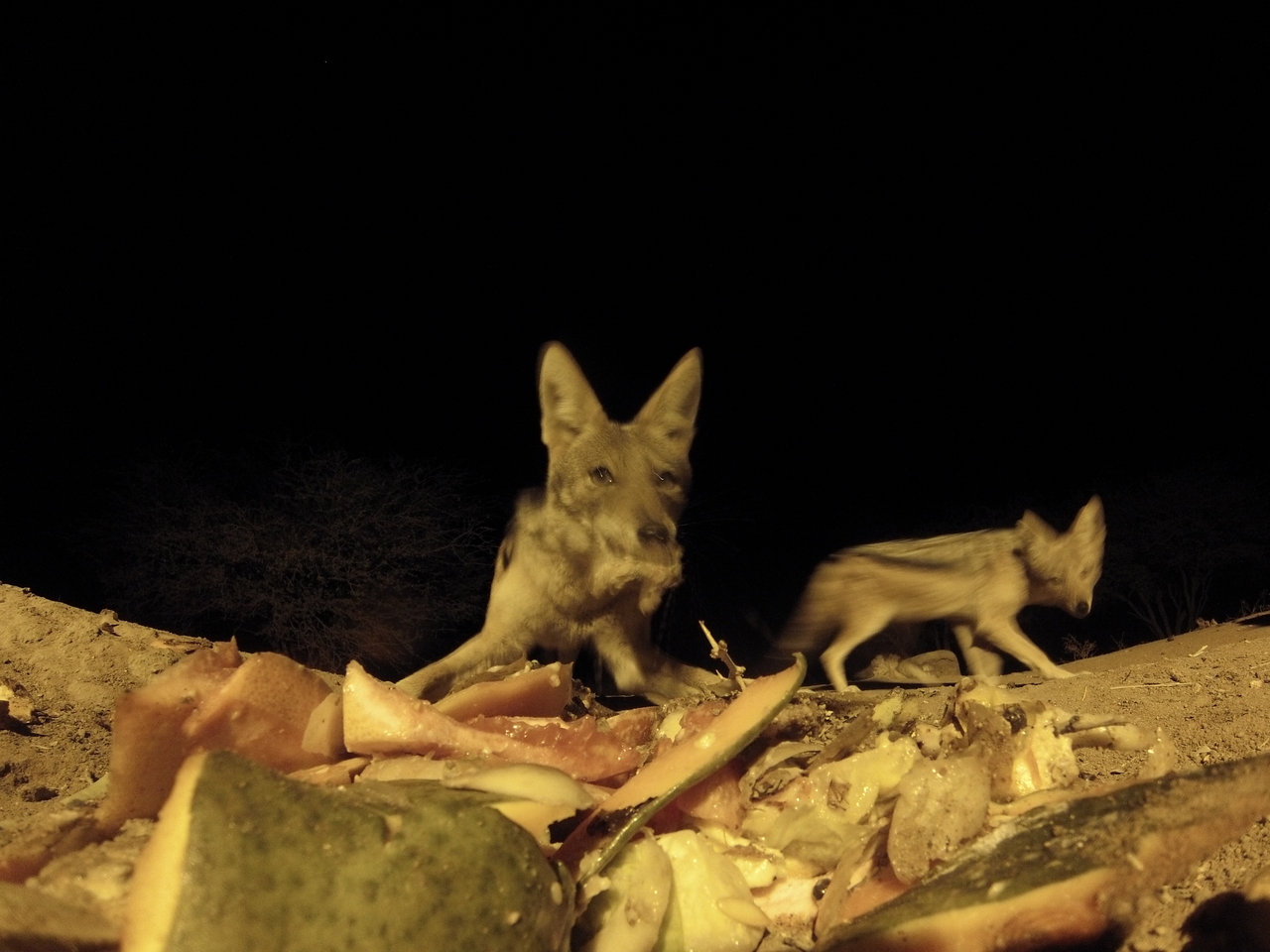 [9710] 2016_06_23_18_43_12_Africa_Hero3-Silver_Edition_IMG__00447.jpg