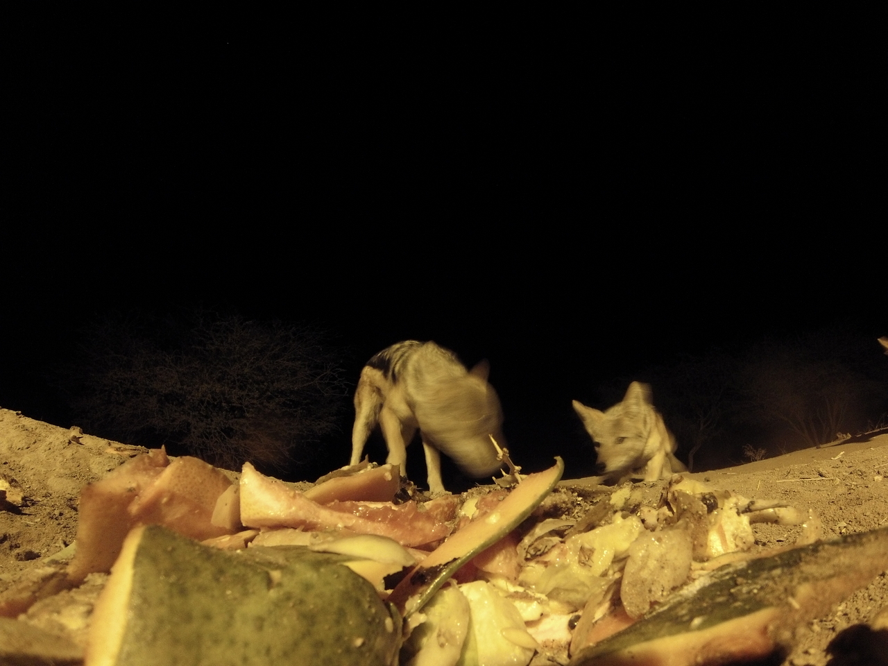 [9712] 2016_06_23_18_43_14_Africa_Hero3-Silver_Edition_IMG__00448.jpg