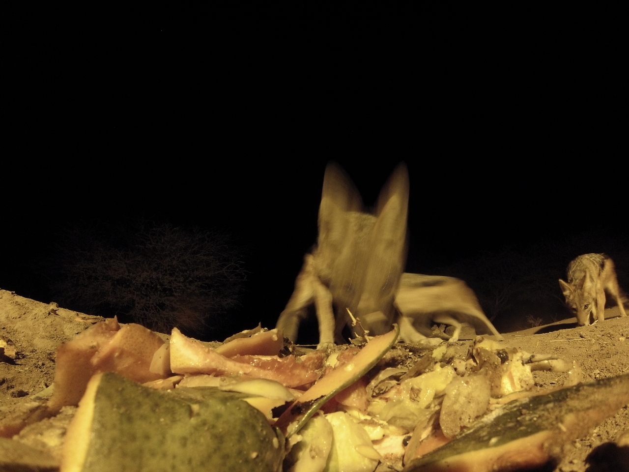 [9715] 2016_06_23_18_43_18_Africa_Hero3-Silver_Edition_IMG__00897.jpg