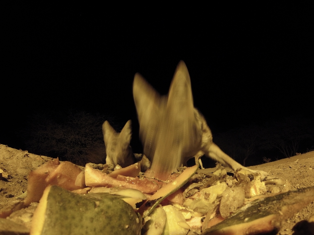 [9731] 2016_06_23_18_43_38_Africa_Hero3-Silver_Edition_IMG__00905.jpg