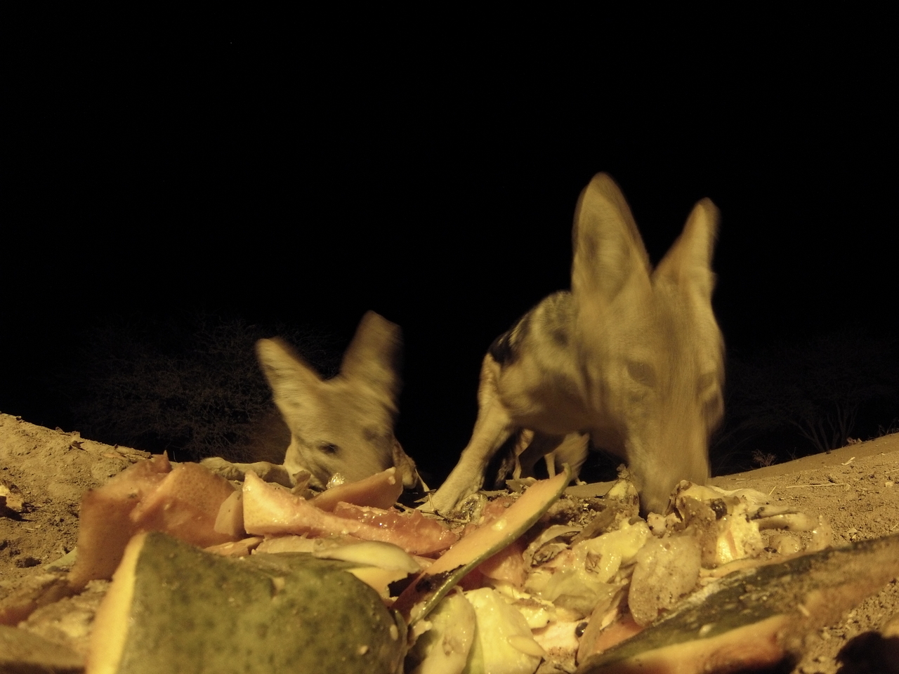 [9735] 2016_06_23_18_43_42_Africa_Hero3-Silver_Edition_IMG__00907.jpg