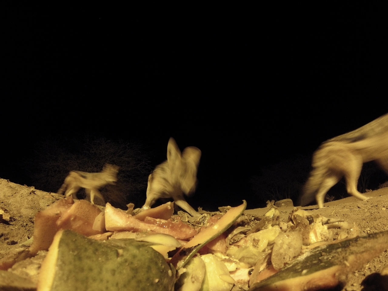 [9741] 2016_06_23_18_43_48_Africa_Hero3-Silver_Edition_IMG__00910.jpg