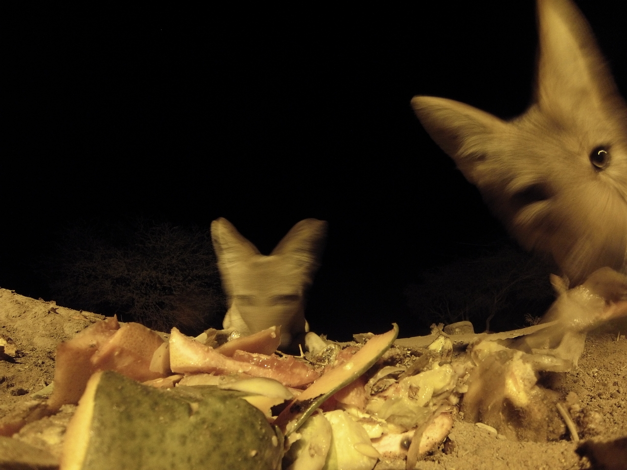 [9744] 2016_06_23_18_43_54_Africa_Hero3-Silver_Edition_IMG__00464.jpg