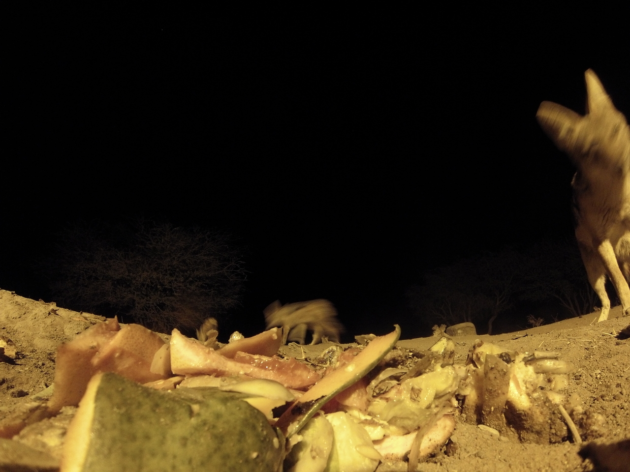 [9748] 2016_06_23_18_43_58_Africa_Hero3-Silver_Edition_IMG__00466.jpg