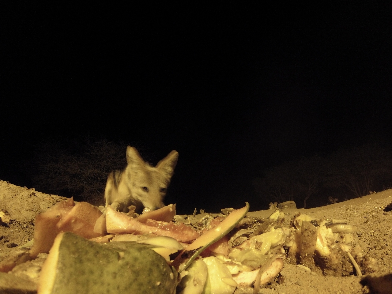 [9762] 2016_06_23_18_44_18_Africa_Hero3-Silver_Edition_IMG__00473.jpg